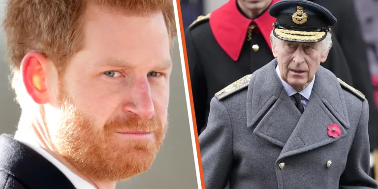 Prince Harry’s Bold Statement That Infuriated King Charles & Brother William Deleted from Royal Family’s Website