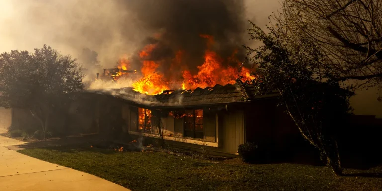 CBS News Team Breaks Into a Burning House to Save 3 Dogs from LA Wildfires